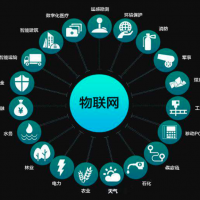 物聯(lián)網(wǎng)前期低谷泡沫與后續(xù)數(shù)字化崛起支點